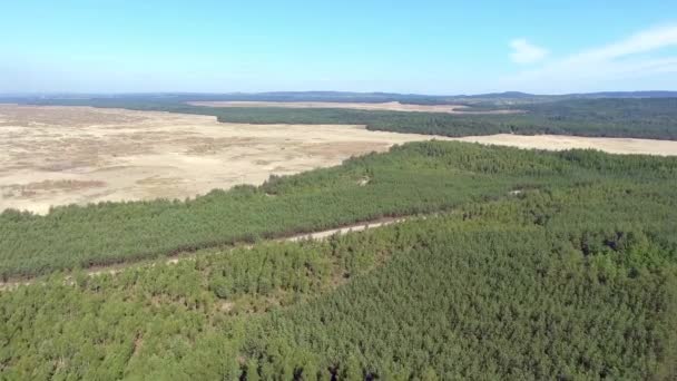 Bledow Wüste in Polen. Blick von oben. — Stockvideo