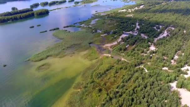 Czas letni Las Jezioro i zieloną, piasek i odbicie w wodzie, Polska lanscape. Od góry. — Wideo stockowe