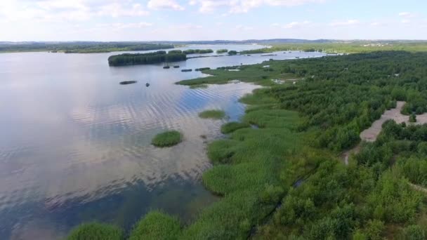 Sommer See und grüne Wälder, Sand und Spiegelung im Wasser, Polenlandschaft. Blick von oben. — Stockvideo