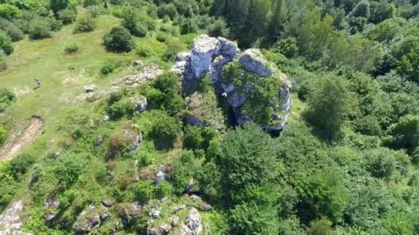 Kalksteinfelsen und ländliche Landschaft in jura krakowsko-czestochowska. Polen. Blick von oben. — Stockvideo