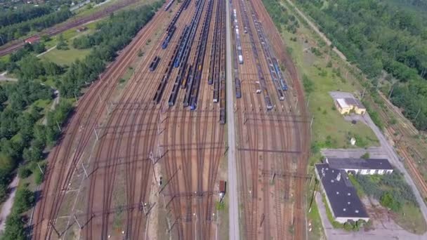 Depot mit vielen Eisenbahnen tagsüber in der Stadt bei sonnigem Wetter. Blick von oben. — Stockvideo