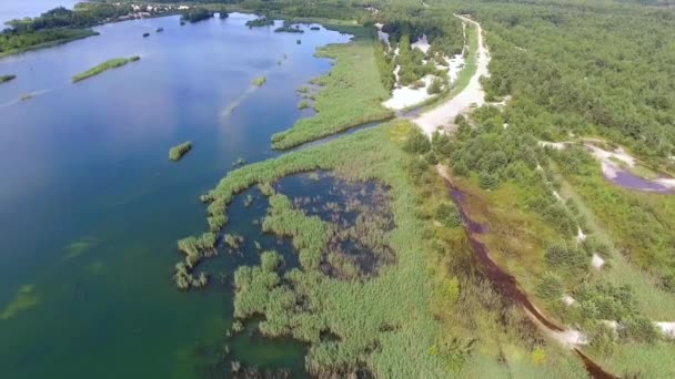 Lago horario de verano y bosque verde, arena y reflexión en el agua, paisaje de Polonia. Vista desde arriba . — Vídeo de stock