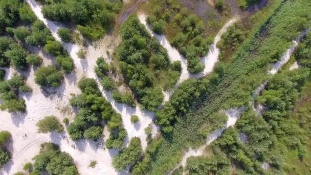 Yaz saati göl ve yeşil orman, kum ve su, Polonya peyzaj yansıması. Yukarıdan görüntülemek. — Stok video