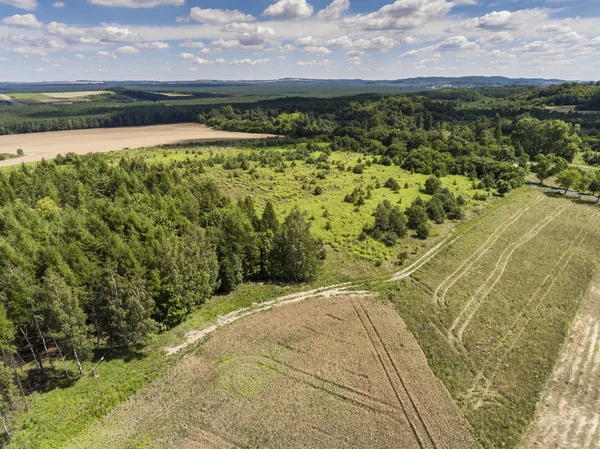 Limestone rocks located on the Polish Jura. Country. South Polan — Stock Photo, Image