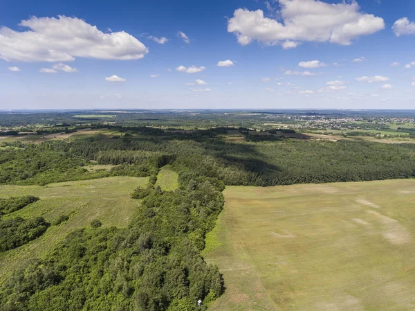 Kalksteinfelsen auf der polnischen Jura. Land. Südpolen — Stockfoto