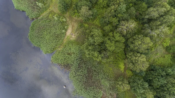 Paisagem verão. Árvores verdes na margem do rio na Polónia . — Fotografia de Stock