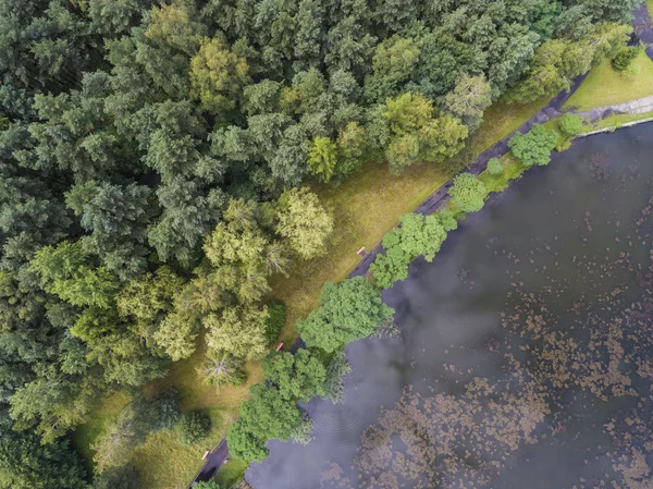 Paisagem verão. Árvores verdes na margem do rio na Polónia . — Fotografia de Stock