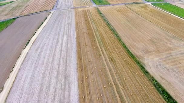 Vista aérea del paisaje del campo de cosecha en verano en Polonia . — Vídeo de stock