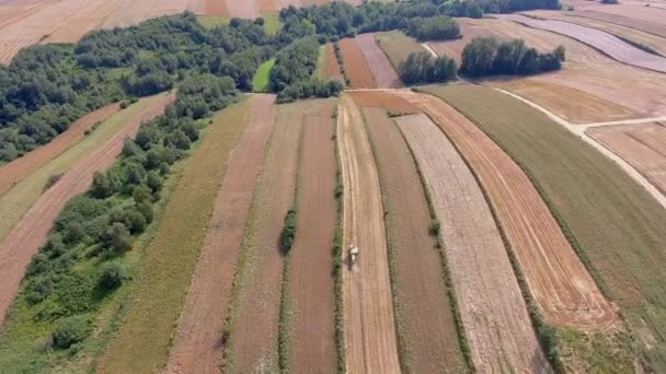 Luftaufnahme der Erntefeldlandschaft bei Summert in Polen. — Stockvideo