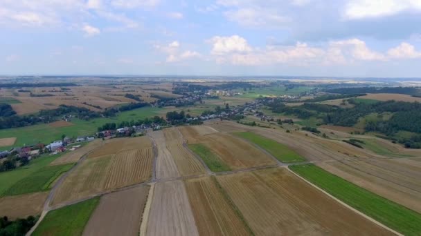 Luftaufnahme der Erntefeldlandschaft bei Summert in Polen. — Stockvideo