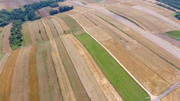 Luftaufnahme der Erntefeldlandschaft bei Summert in Polen. — Stockvideo