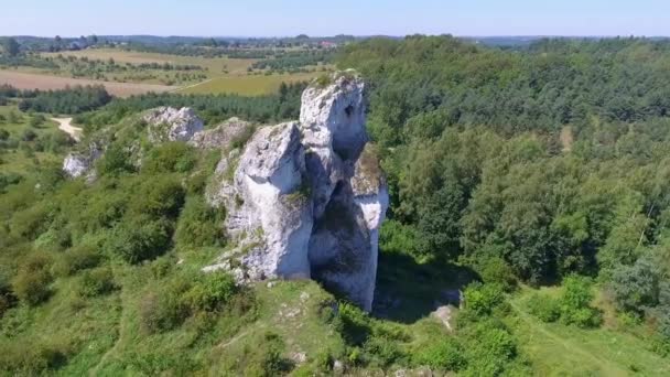 Kalksteen rots in Jura Krakowsko-Czestochowska. Polen. Van bovenaf bekijken. — Stockvideo