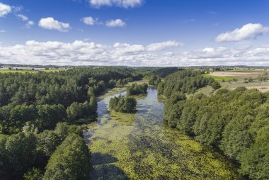 Black River Hancza Turtul içinde. Suwalszczyzna, Polonya. Yaz saati
