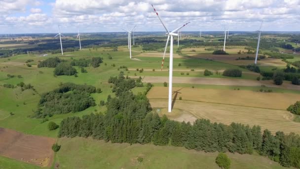 Větrné turbíny v Suwałki. Polsko. Pohled shora. Letní čas. — Stock video