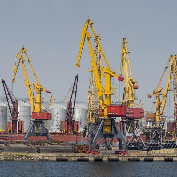 Odessa, Ukraina - 30 juli 2016: Containerkranar i cargo port — Stockfoto
