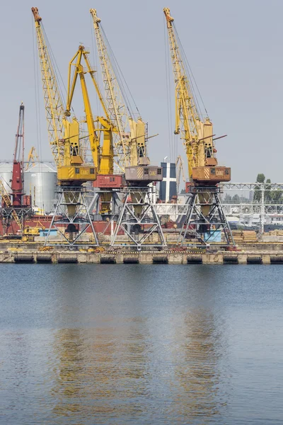 Odessa, Ukraina - 30 juli 2016: Containerkranar i cargo port — Stockfoto