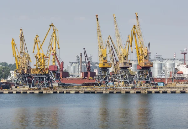 Odessa, Ukraine - July 30, 2016: Container cranes in cargo port — Stock Photo, Image