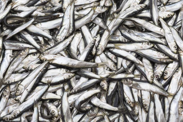 Abondance de poissons frais sur l'affichage du marché . — Photo