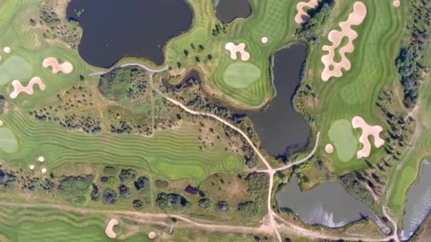 Aerial view over golf field in Poland. Summer time. — Stock Video