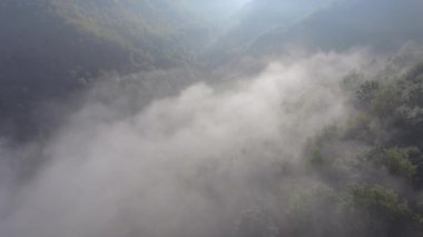 Manzara puslu panorama. Puslu vadiye aşağıda manzaralı muhteşem rüya gibi gündoğumu rocky Dağları üzerinde. Sisli bulutların üzerinde forrest. Aşağıda peri yatay olarak görüntülemek. 