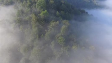 Manzara puslu panorama. Puslu vadiye aşağıda manzaralı muhteşem rüya gibi gündoğumu rocky Dağları üzerinde. Sisli bulutların üzerinde forrest. Aşağıda peri yatay olarak görüntülemek. 