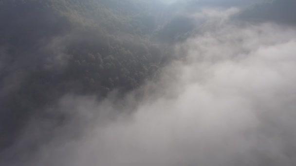 Paysage panorama brumeux. Fantastique lever de soleil de rêve sur les montagnes rocheuses avec vue sur la vallée brumeuse ci-dessous. Des nuages brumeux au-dessus de la forêt. Vue ci-dessous sur le paysage féerique . 