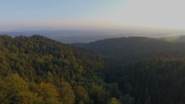 Landschaft neblig. traumhafter Sonnenaufgang auf felsigen Bergen mit Blick ins Nebeltal unten. Nebelschwaden über dem Wald. Blick unten auf Märchenlandschaft. — Stockvideo
