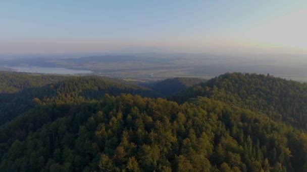 Forêt montagneuse à l'heure d'été dans le sud de la Pologne. Vue d'en haut . — Video