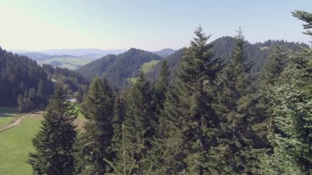 Forêt montagneuse à l'heure d'été dans le sud de la Pologne. Vue d'en haut . — Video