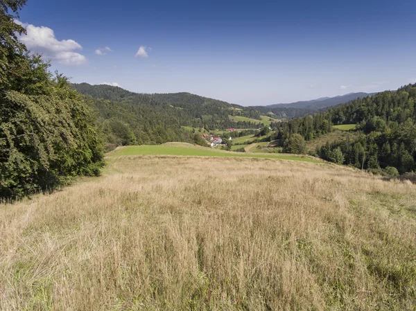 De landcsape van de berg op zomertijd in ten zuiden van Polen. Uitzicht vanaf — Stockfoto