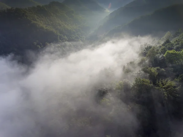 Mglisty panorama pejzaż. Fantastyczne marzycielski wschód słońca na skalistym moun — Zdjęcie stockowe