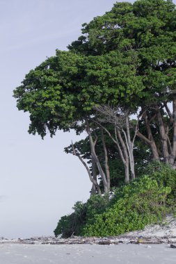 Ada mavi gökyüzü beyaz bulutlar, Andaman Adaları, Hindistan ile tırnak