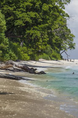 Havelock ada mavi gökyüzü beyaz bulutlar, Andaman Adaları, Ind ile