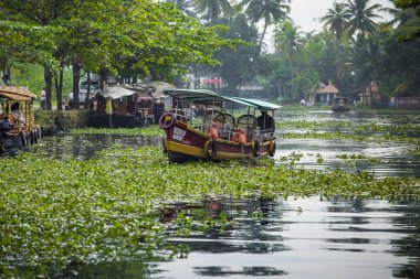 Alleppey, Kerala, Hindistan - 16 Ağustos 2016: Kimliği belirsiz Hint p
