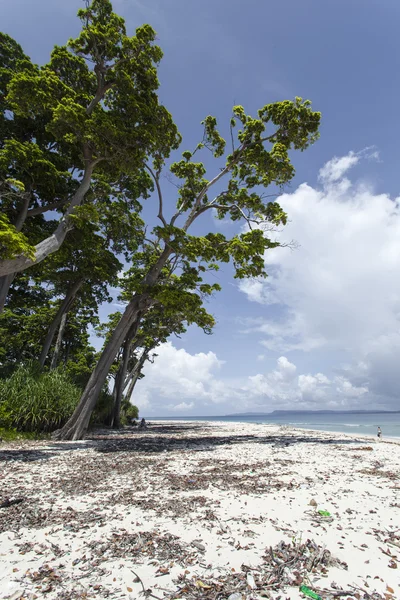 Havelock Island blå himmel med hvide skyer, Andaman Islands, Ind - Stock-foto