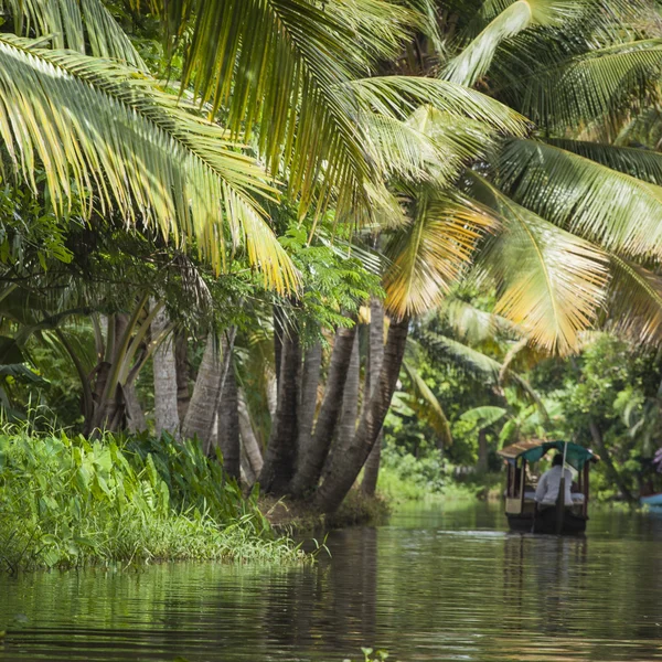 ALLEPPEY, KERALA, INDIA - AUGUST 16, 2016: Unidentified indian p — Stock Photo, Image