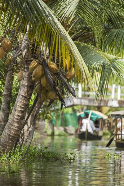 ALLEPPEY, KERALA, INDIA - AUGUST 16, 2016: Unidentified indian p — Stock Photo, Image