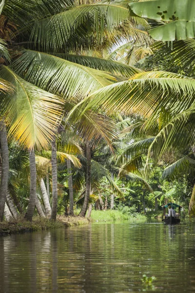 ALLEPPEY, KERALA, INDIA - 16 AGOSTO 2016: Indiano non identificato p — Foto Stock