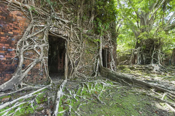 Ruína do edifício abandonado coberto com raízes na Ilha Ross. Um — Fotografia de Stock
