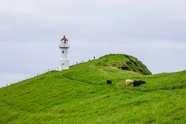 View Lighthouse Mykines Island Faroe Islands North Atlantic Ocean — Stock Photo, Image