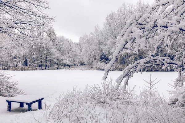 波兰冬季 冬季美丽的风景 树上覆盖着白霜和白雪 — 图库照片