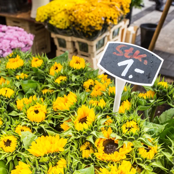 Sunflowers at the flower market on the Amsterdam street — Stock Photo, Image