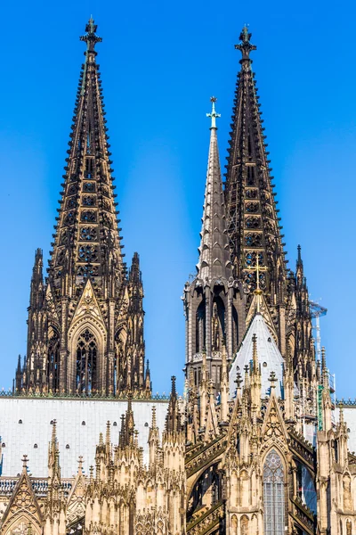 La catedral de Colonia. Detalle de la fachada — Foto de Stock