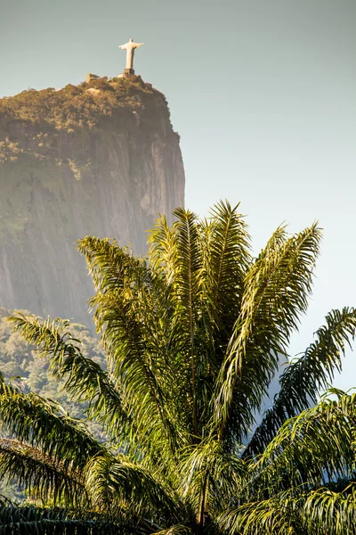 Weergave van Christus Verlosser en corcovado berg — Stockfoto