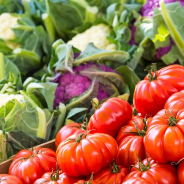 Sadece yerel çiftlik Market Satılık domates hasat. Kopenhag, Danimarka.