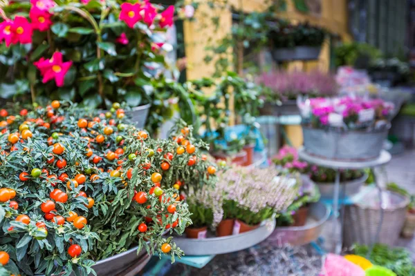 Bloem stand in het midden van copengahen, Denemarken. — Stockfoto