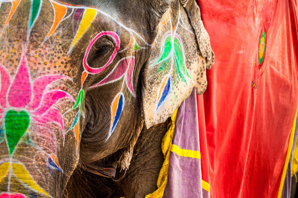 Elephant. India, Jaipur, state of Rajasthan. Stock Image