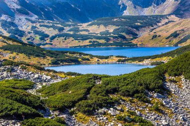 Yaz 5 lakes Valley yüksek tatra Dağları, Polonya.