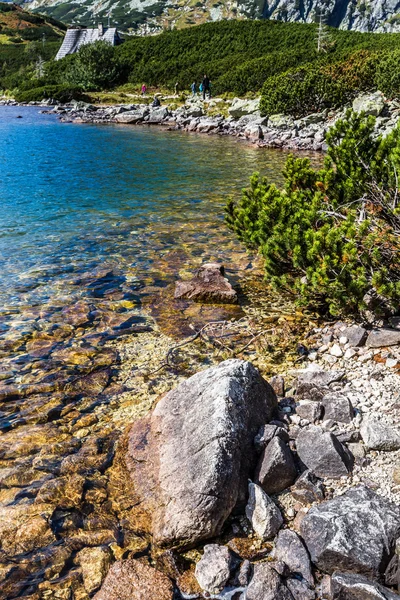 Verano en el valle de los 5 lagos en las altas montañas de Tatra, Polonia . —  Fotos de Stock