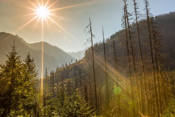 Bergen landscape.tatra bergen, Polen. — Stockfoto